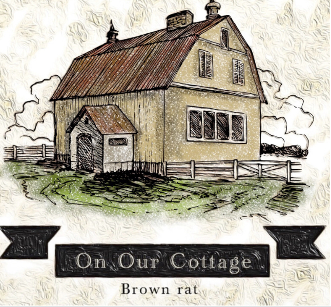 1st Album On Our Cottage